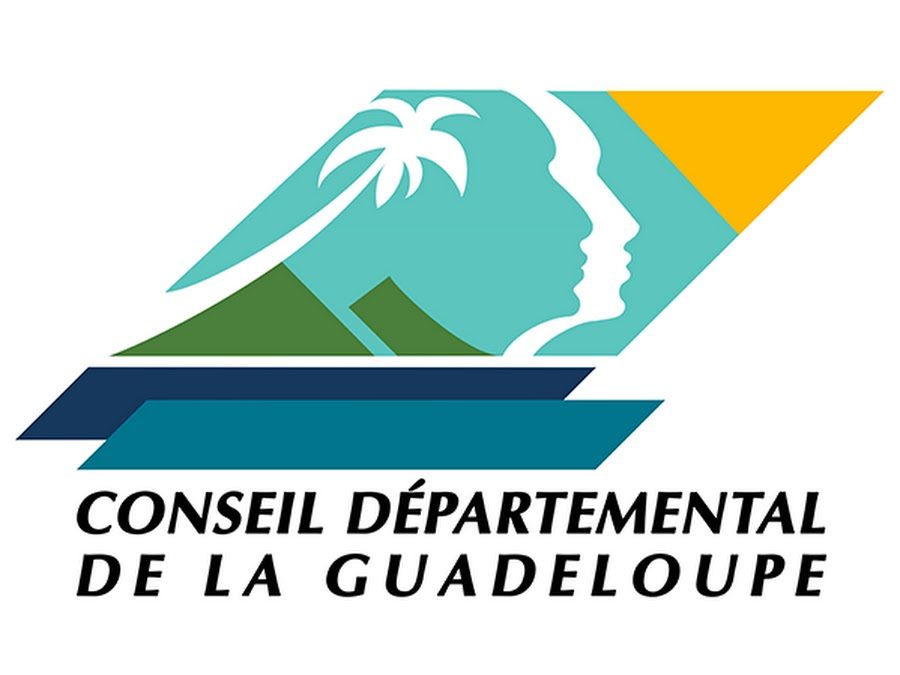 Appel a projet pour la mise en œuvre  d’ateliers parcours d’insertion (api)  pour les bénéficiaires du rsa sur le territoire de la Guadeloupe