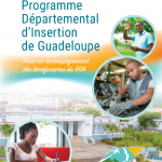 PDI – Programme Départemental d’Insertion 2022 – 2028
