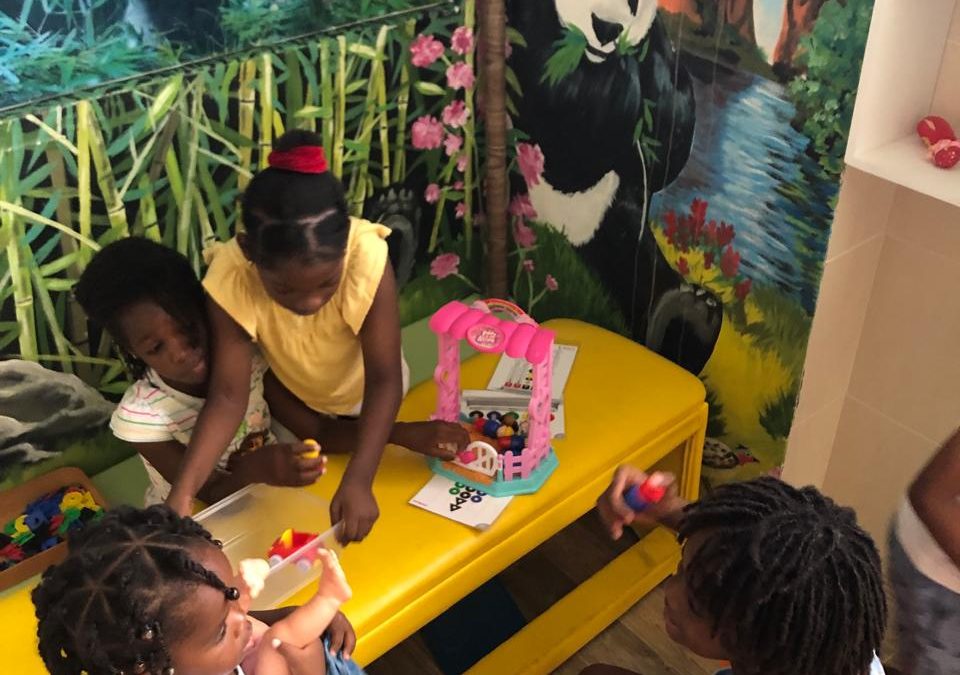 CENTRE SOCIAL ET CULTUREL DE MORNE A L EAU  LES BRAS OUVERTS